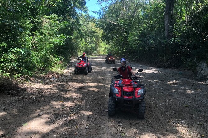 ATV N Zip: 8 Zip Lines plus ATV's - Is $124.99 a fair price?