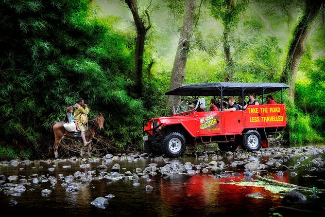 ATV Quad Bike and Zip Line Adventure Tour (Departs Nadi) - Zip Fiji Momi and its 16-line course