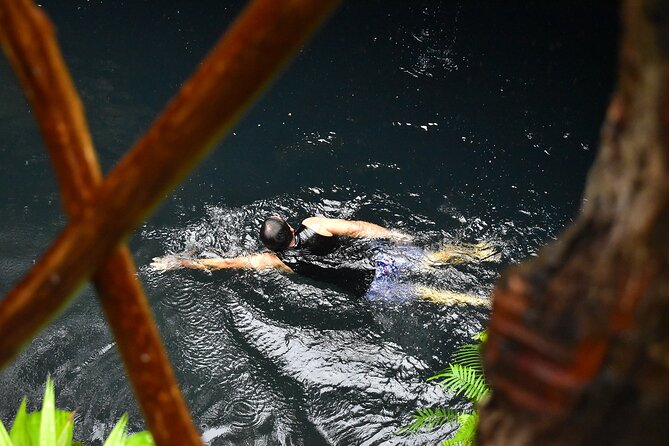 Atv Tour In Cancun (swim Cenote, Tarzan Jump And 5 Ziplines Included) - A compact jungle adventure near Puerto Morelos