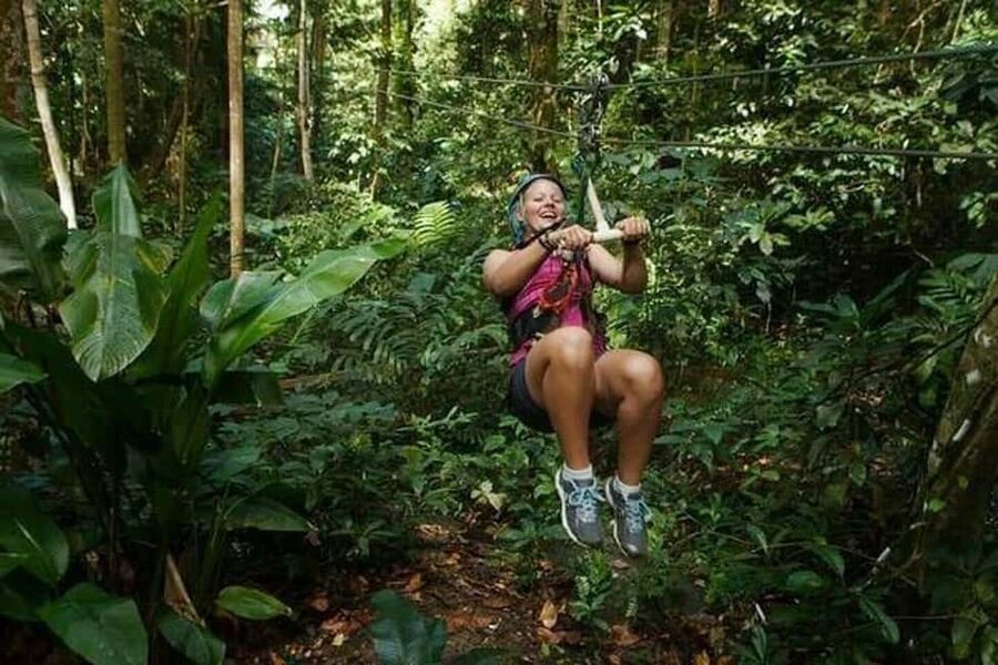 Babonneau/Castries: Rainforest Zip Line, Tram, and Hike Tour - A four-hour sampler of St. Lucia’s rainforest
