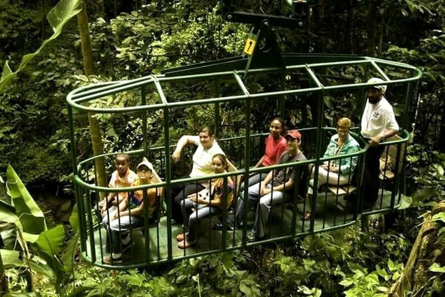 Babonneau/Castries: Rainforest Zip Line, Tram, and Hike Tour - Riding above the trees on the aerial tram