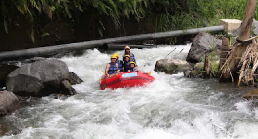 Bali Rafting: River Rafting with Zipline Down to the River - Telaga Waja’s fast 16-kilometer river run