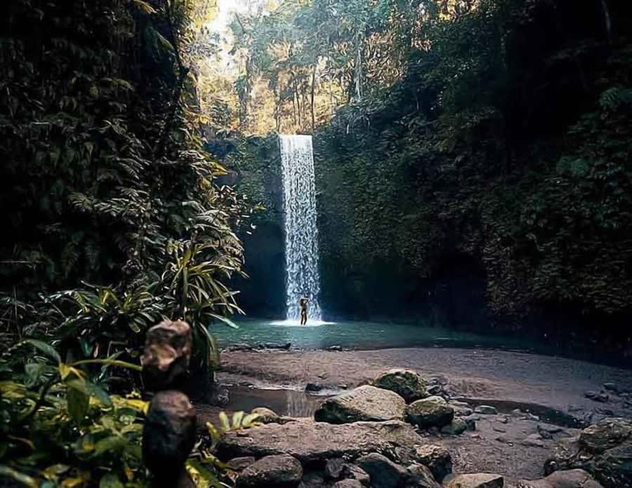 Bali: Ubud Day Tour with Swing and Zipline - Seven hours may be tight for this route