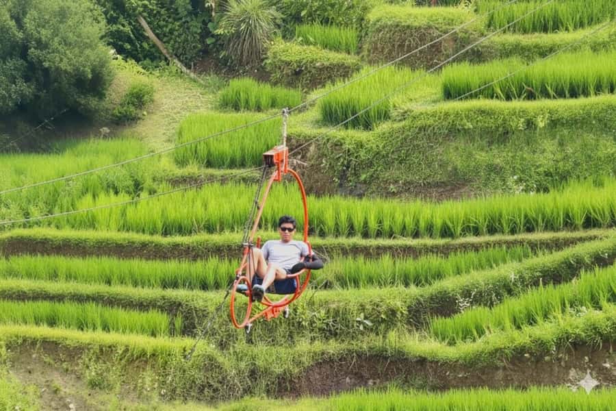 Bali/Ubud: Swing, Zipline & SkyBike Rice Terrace Adventure - Food, extras, and the real cost
