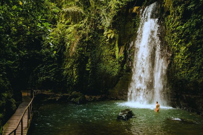 Bali Ubud Zipline Jungle Swing and Waterfall Tour - A private Ubud day built around height and water