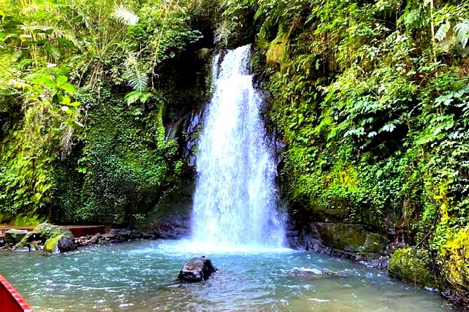 Bali Ubud Zipline Jungle Swing and Waterfall Tour - The optional coffee plantation stop slows the pace