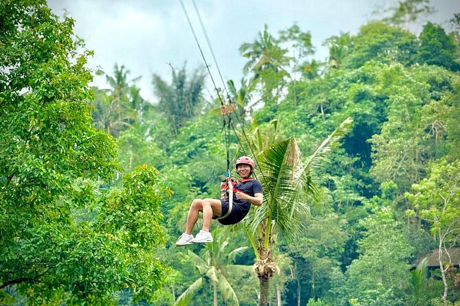 Bali Ubud Zipline, Monkey Forest and Waterfall Adventure - What private touring changes