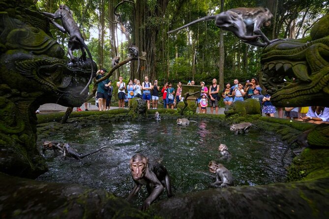 Bali Ubud Zipline, Monkey Forest and Waterfall Adventure - Timing, fitness, and practical limits