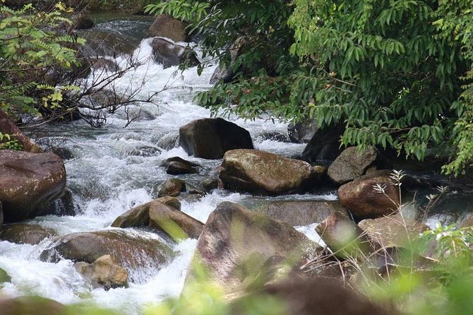Bamboo Rafting, ATV Riding and Zip Line Tour From Phuket - Thai lunch and a welcome pause