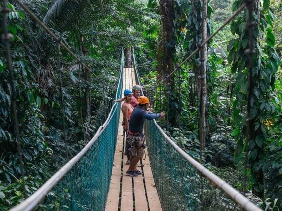 Belize: Thrilling Zipline Adventure at Bocawina Rainforest - The 2,300-Foot Run Is the Big Moment