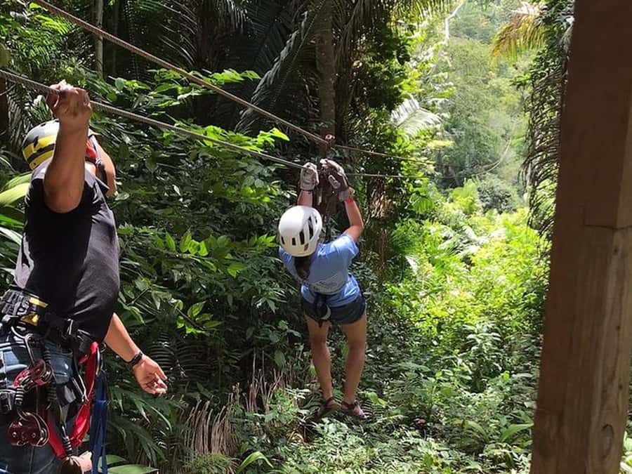 Belize: Thrilling Zipline Adventure at Bocawina Rainforest - Eight Runs Through the Caribbean Rainforest
