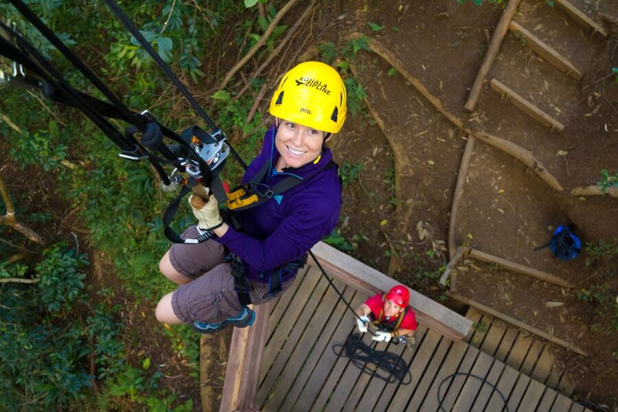 Big Island: 3-Hour Kohala Canopy Zipline Adventure - Key points to know before booking