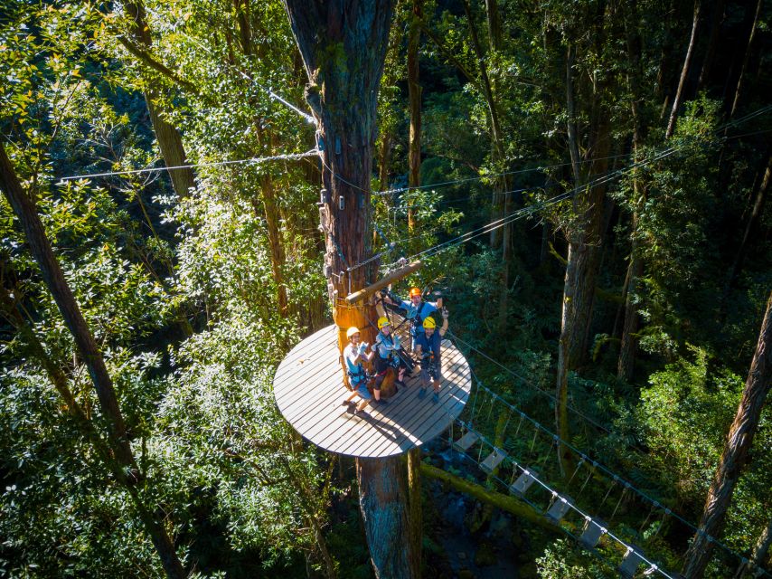 Big Island: 3-Hour Kohala Canopy Zipline Adventure - Clothing, weight, and physical requirements