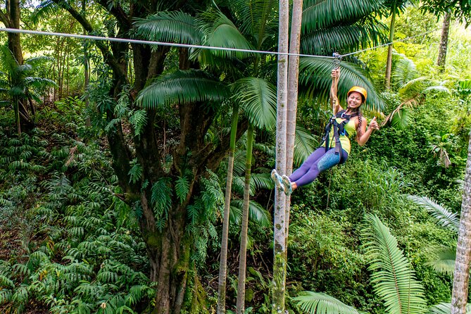 Big Island: 8-Zipline & Suspension Bridge Waterfall Adventure - Key things to know before you book