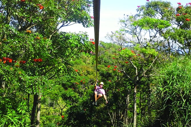 Big Island: 8-Zipline & Suspension Bridge Waterfall Adventure - Eight ziplines through Big Island rainforest