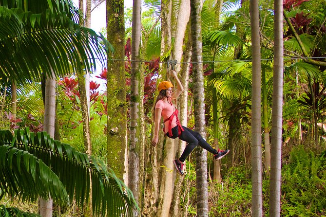 Big Island: 8-Zipline & Suspension Bridge Waterfall Adventure - The guides add more than safety instructions