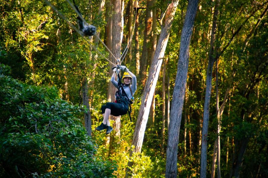 Big Island: Full-Day Kohala Zipline and Waterfall Adventure - Key points at a glance