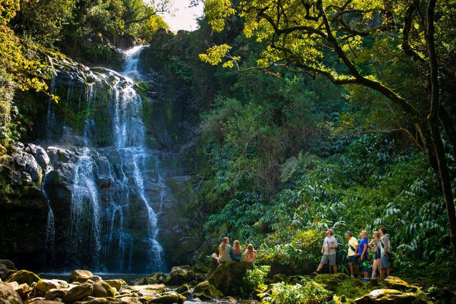 Big Island: Full-Day Kohala Zipline and Waterfall Adventure - Eight lines, six bridges, and one rappel