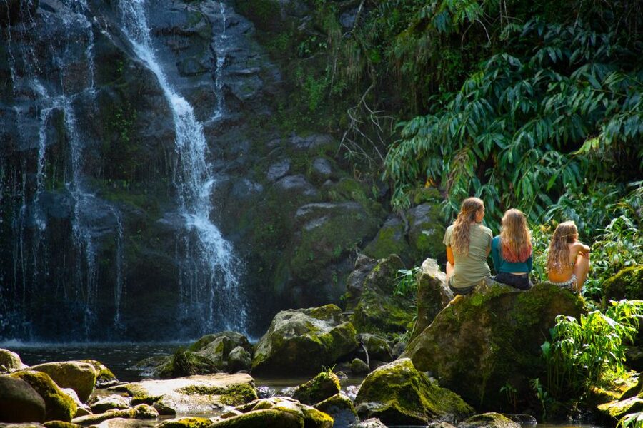 Big Island: Full-Day Kohala Zipline and Waterfall Adventure - What the $361 price really covers
