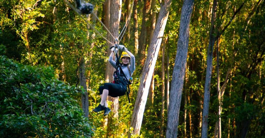 Big Island: Full-Day Kohala Zipline and Waterfall Adventure - The drive from Kona to Hawi