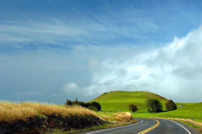 Big Island Kohala Canopy Zipline Adventure - Key points before you book
