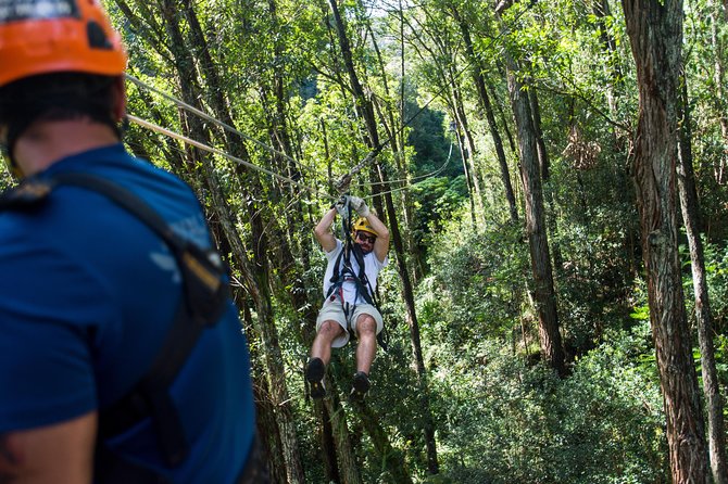 Big Island Kohala Canopy Zipline Adventure - Eight ziplines, bridges, and a strong finish