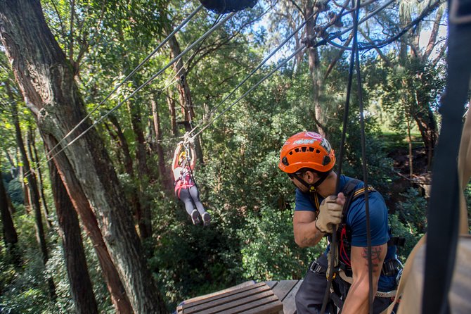 Big Island Kohala Canopy Zipline Adventure - How it works for nervous beginners