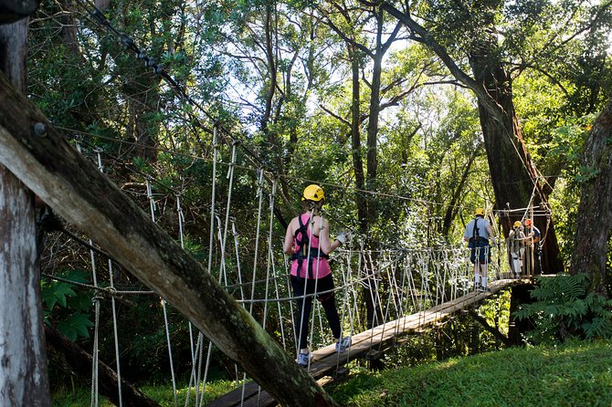 Big Island Kohala Canopy Zipline Adventure - Who will enjoy Kohala Canopy Zipline most