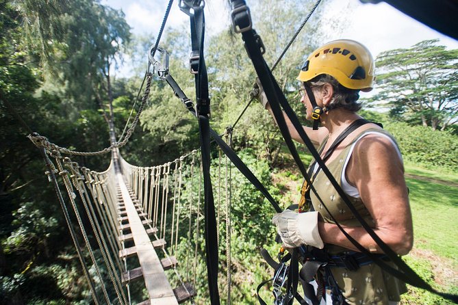 Big Island Kohala Canopy Zipline Adventure - A forest course built for first flights