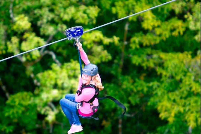 Big Island Zipline Tour Near Akaka Falls (250-ft Waterfall!) - The Hamakua Coast From Above
