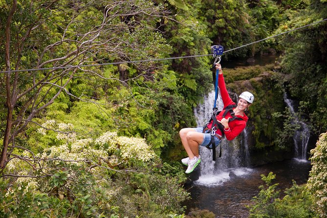 Big Island Zipline Tour Near Akaka Falls (250-ft Waterfall!) - Is $246 a Fair Price?
