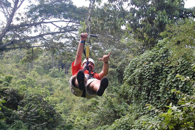 Blue Hole, Zipline and Dunn's River Falls from Falmouth - Ziplining gives you a view from above