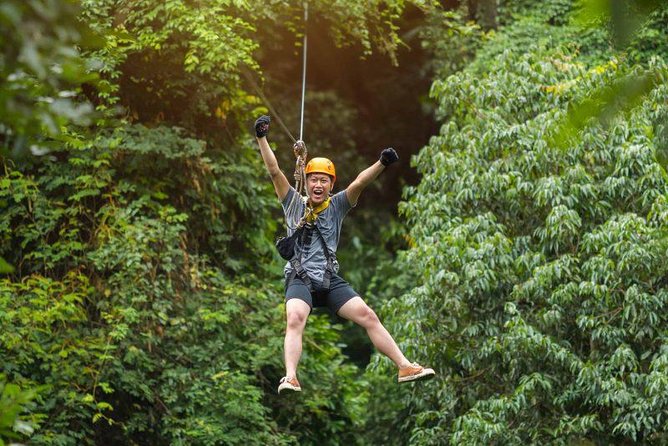 Bransons Best Zipline - Great Woodsman Canopy Tour - Key points to know before you book