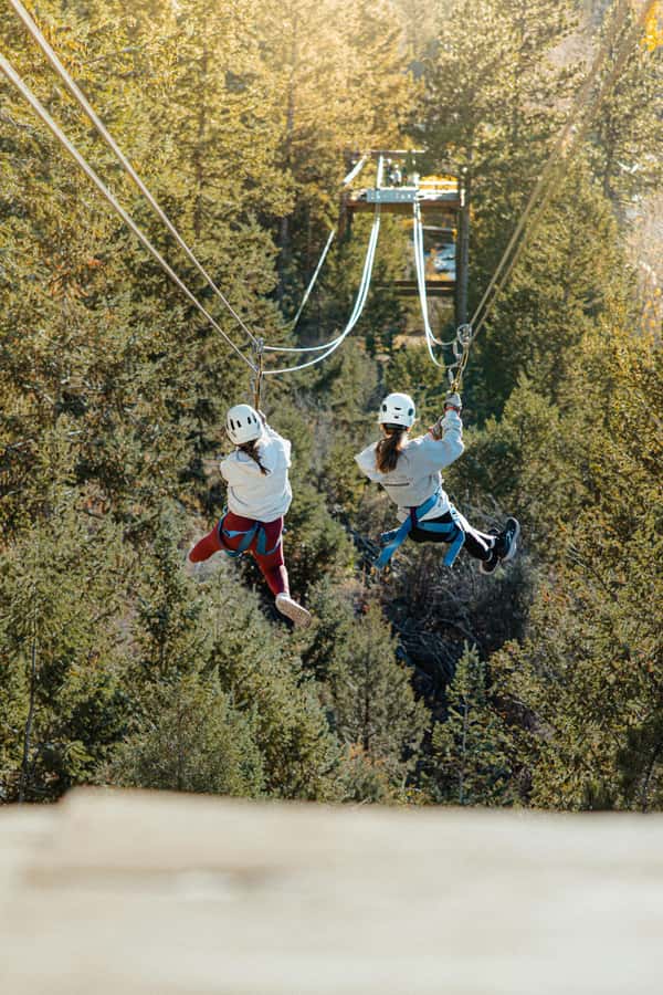 Buena Vista: Mountain Top Zipline Adventure - Starting at AVA Rafting and Zipline in Buena Vista