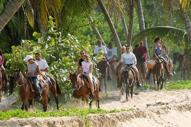 Buggy Horses and Zip Line from Punta Cana with Lunch Included - Why this Punta Cana combination works