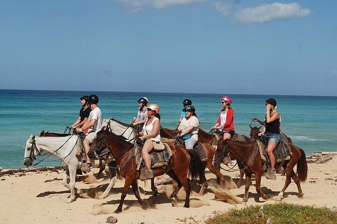 Buggy Horses and Zip Line from Punta Cana with Lunch Included - Eight zip lines above the Macao area