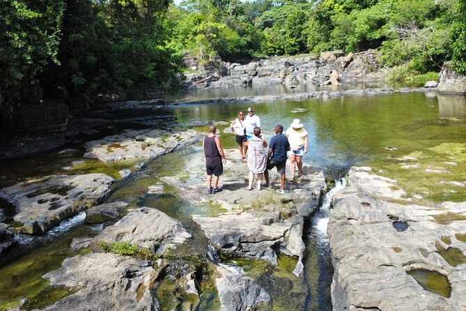 Buggy Ride, Horseback, Zipline,Eco Farm,Macao Beach - What $130 buys you