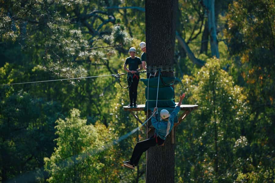 Busselton: Forest Adventure with Zip Lining and Rope Course - Tarzan jumps, free-fall drops and balancing lines