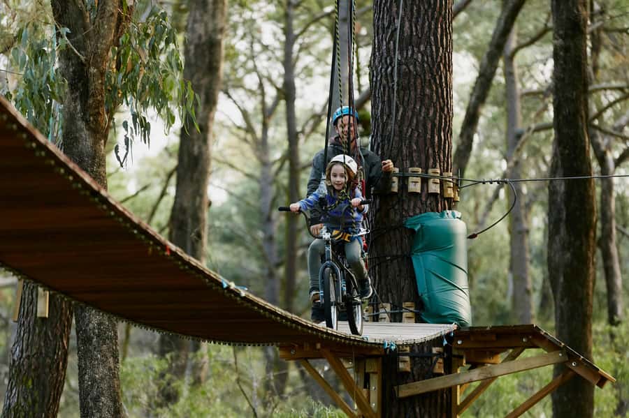Busselton: Forest Adventure with Zip Lining and Rope Course - What the safety rules mean for families