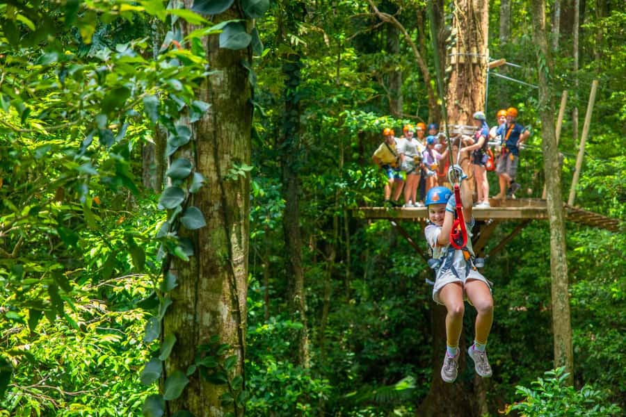 Cairns: Daintree Rainforest Canopy Ziplining Tour - The final dual zipline