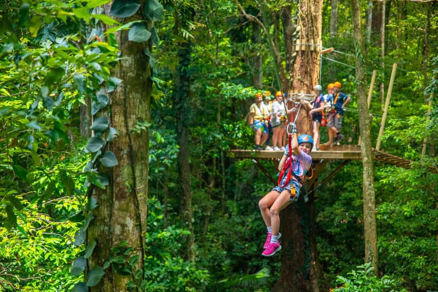 Cairns: Daintree Rainforest Canopy Ziplining Tour - Is $102 good value?