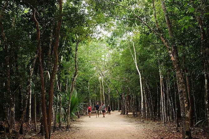 Cancun ATV Adventure, Horseback Riding, Zip Lines, and Cenote - Lunch and what the $44 price covers