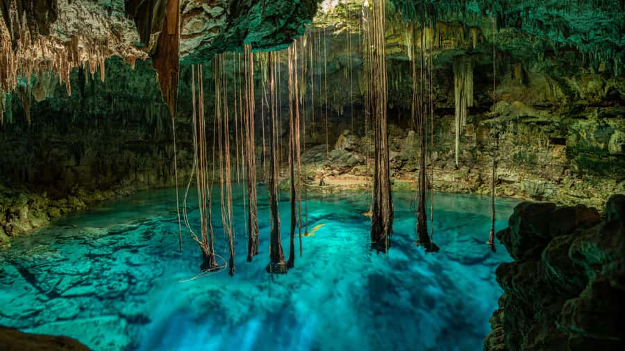 Cancun: Tropical ATV Tour with zip lines and swimming in Cenote - Six zip lines above the jungle