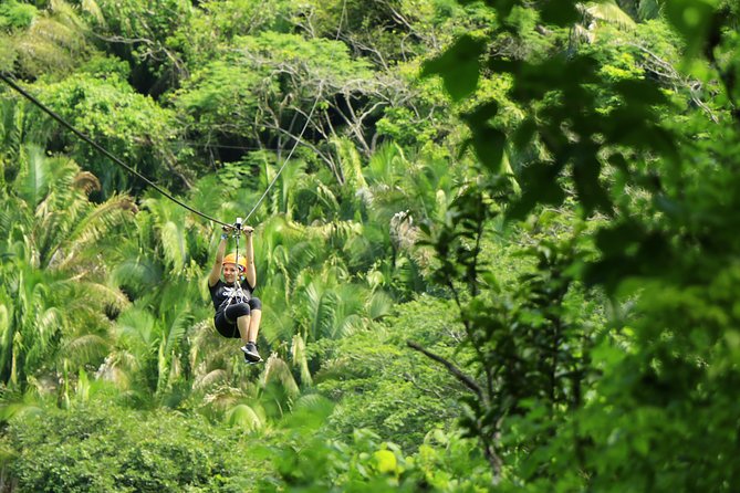 Canopy River Zipline Tour and Mule Ride - Key points at a glance