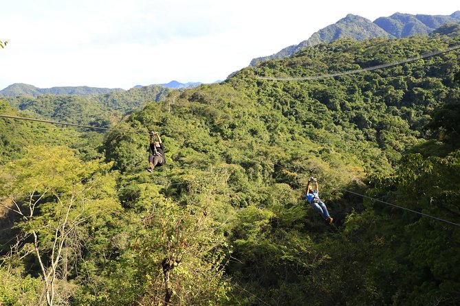 Canopy River Zipline Tour and Mule Ride - What happens at Canopy River Park