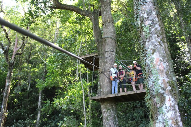 Canopy Tour with Superman and Tarzan Swing in La Fortuna - What the canopy route feels like