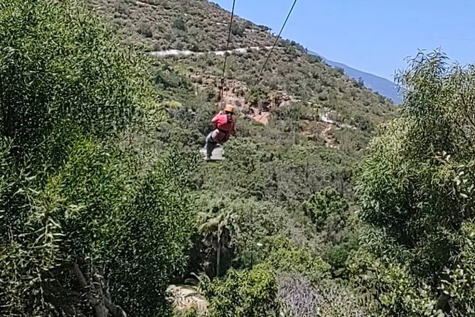 Canopy Ziplines Tour in Las Cañadas Private Tour - A family outing with a physical edge
