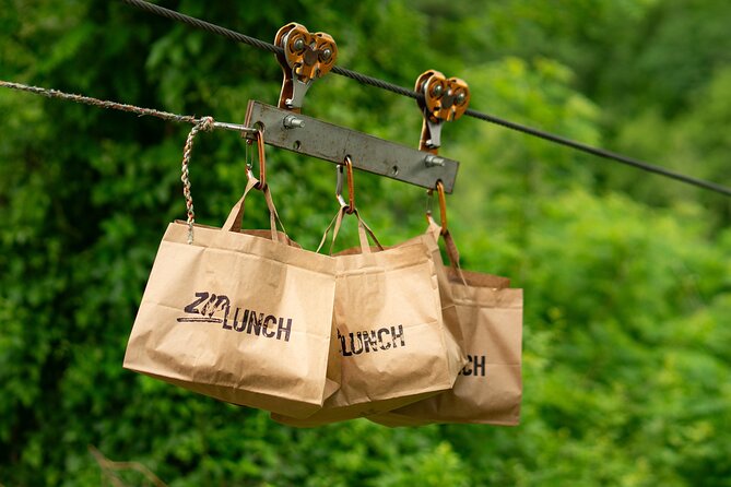Canyon Zip Line - Safety, weather, and the right level of challenge