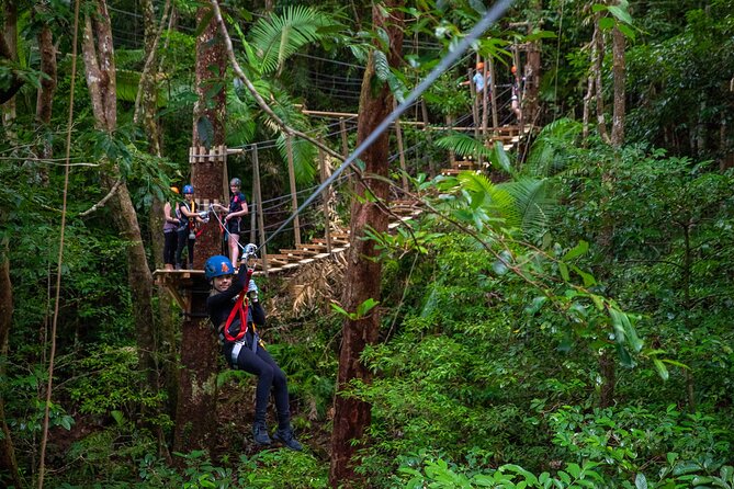Cape Tribulation & Ziplining: Ultimate Daintree - Key points to know before booking