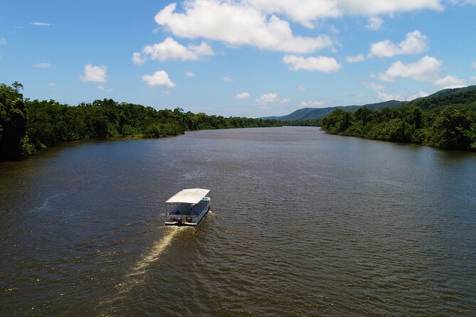 Cape Tribulation & Ziplining: Ultimate Daintree - Morning tea, lunch, and the Daintree ice cream stop